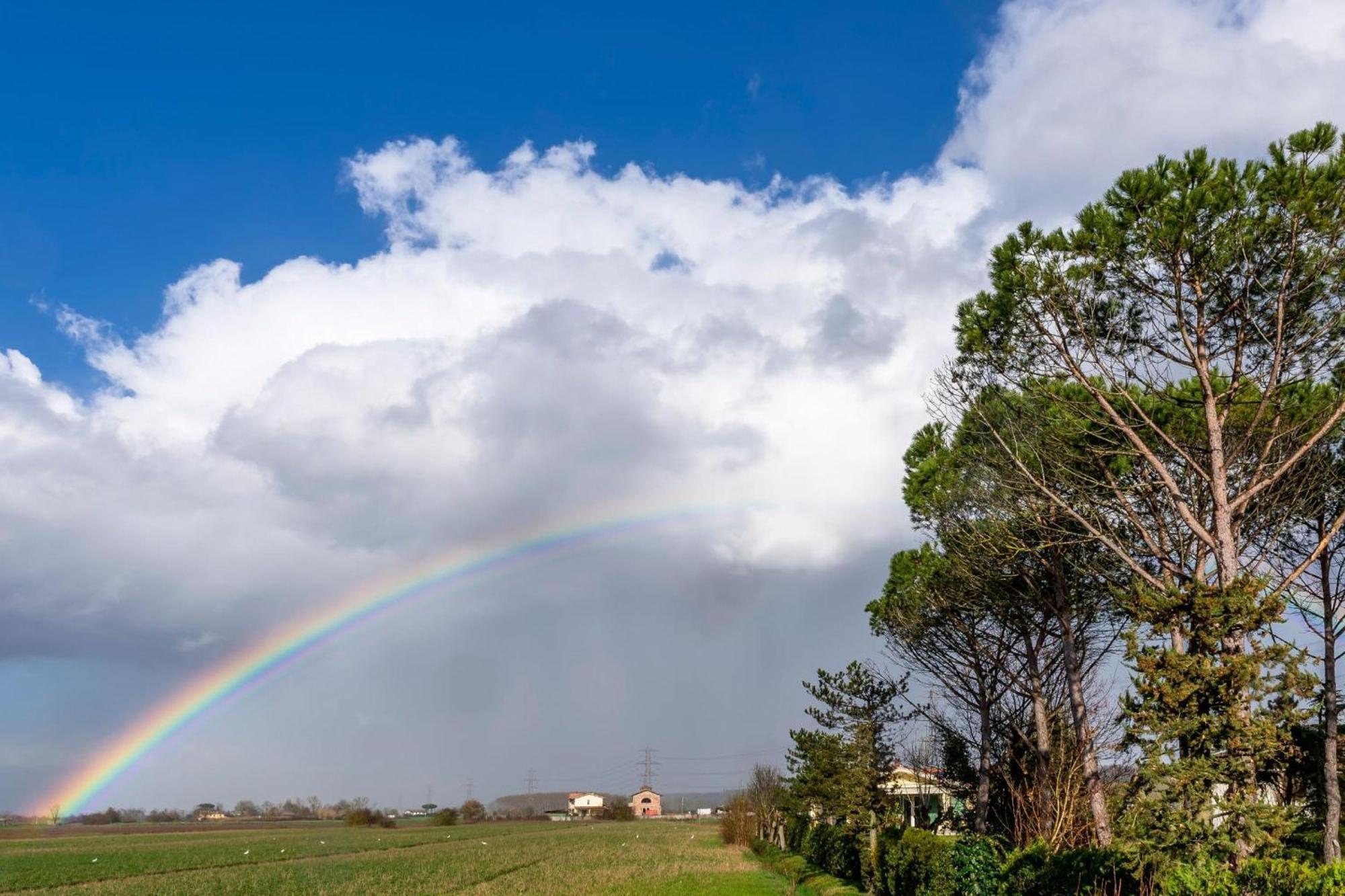 Villa Lisa Bientina Esterno foto