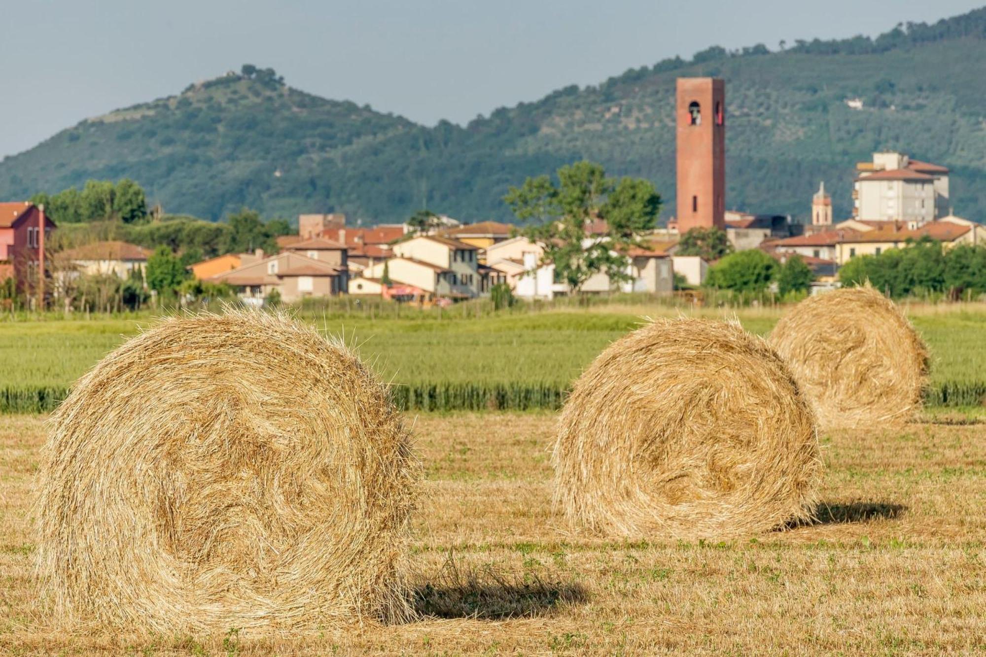 Villa Lisa Bientina Esterno foto